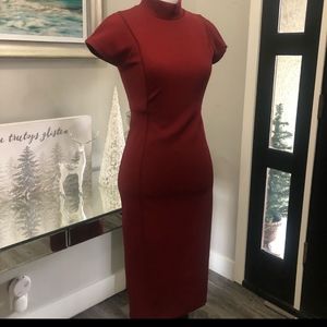 Zara Burgundy Pencil Dress Small